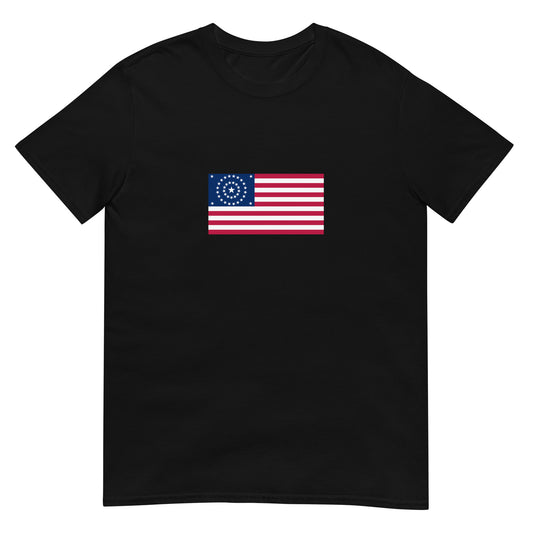 USA - 38 Concentric Circles (1877) | American Flag Interactive History T-Shirt
