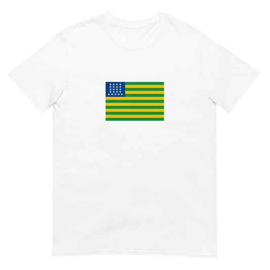Brazil - First Republic of Brazil (1889-1930) | Brazil Flag Interactive History T-Shirt