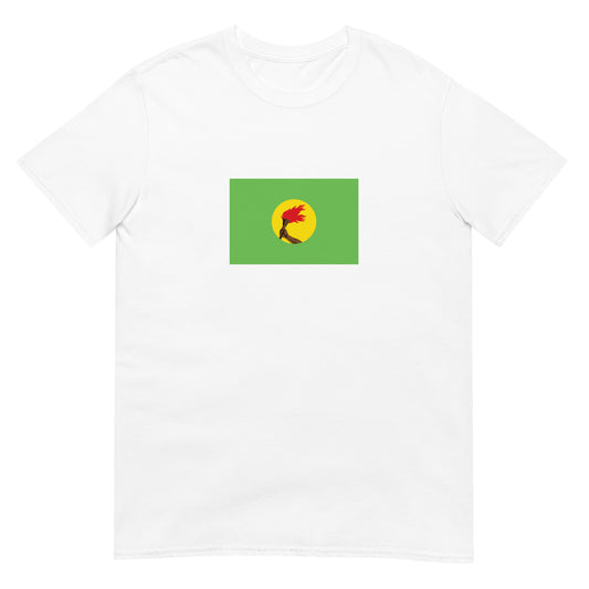 Congo DR - Republic of Zaire (1971-1997) | Historical Flag Short-Sleeve Unisex T-Shirt