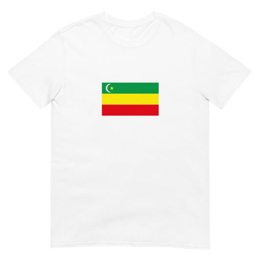 Kazakhstan - Alash Autonomy (1917-1920) | Historical Flag Short-Sleeve Unisex T-Shirt