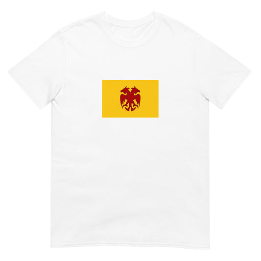 Ayyubid Dynasty (1171-1341) | Saudi Arabia Flag Interactive History T-Shirt