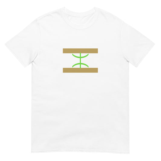 Algeria - Mozabite people | Ethnic Algeria Flag Interactive T-shirt