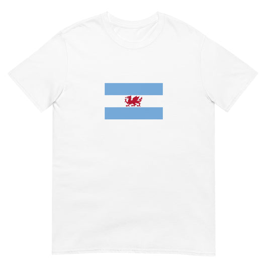 Argentina - YWladfa Patagonian Welsh | Ethnic Flag Interactive Unisex T-Shirt