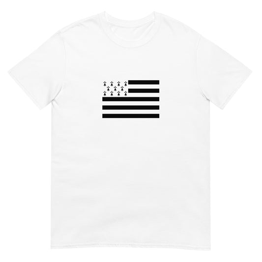 France - Bretons | Ethnic French Flag Interactive T-shirt